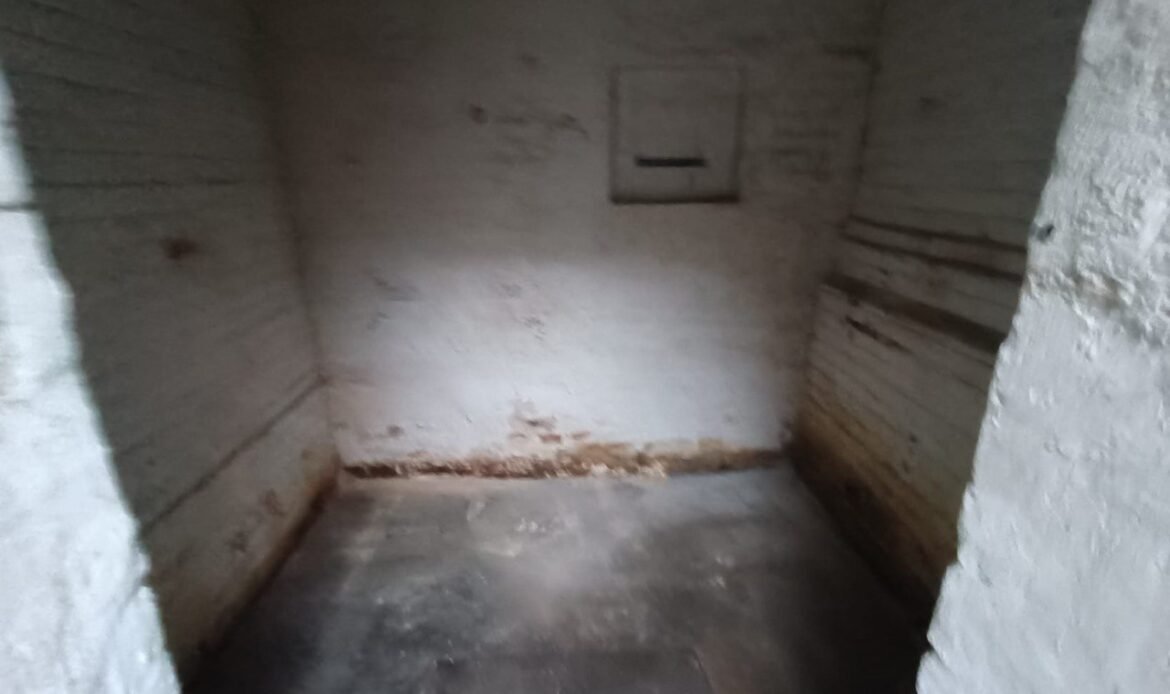 Kellerräumung in Wien